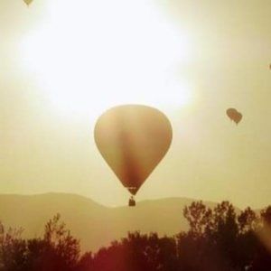 Meet your Posher, Dani